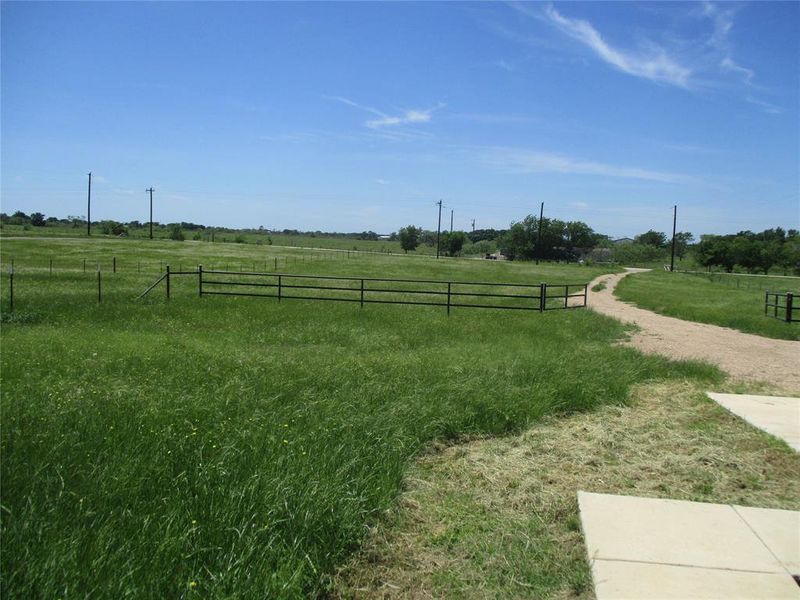 Natural landscape and outdoor views near  in Kaufman (Image 28).