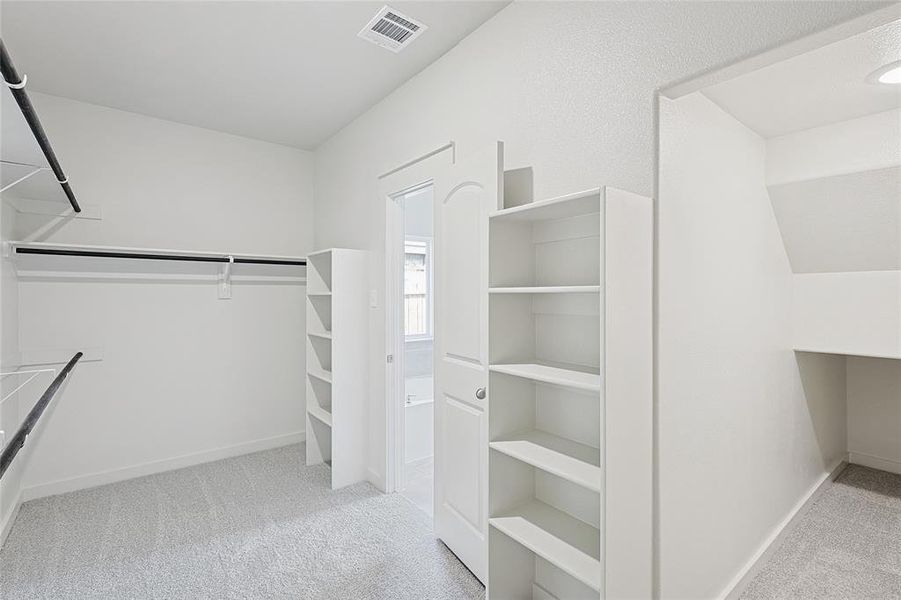 Walk in closet with light colored carpet