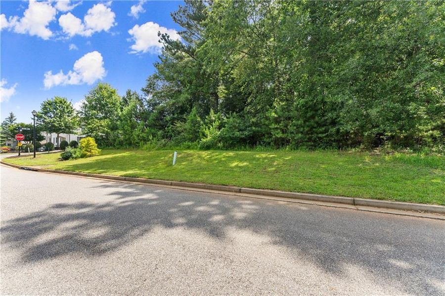 Natural landscape and outdoor views near  in Alpharetta (Image 8).