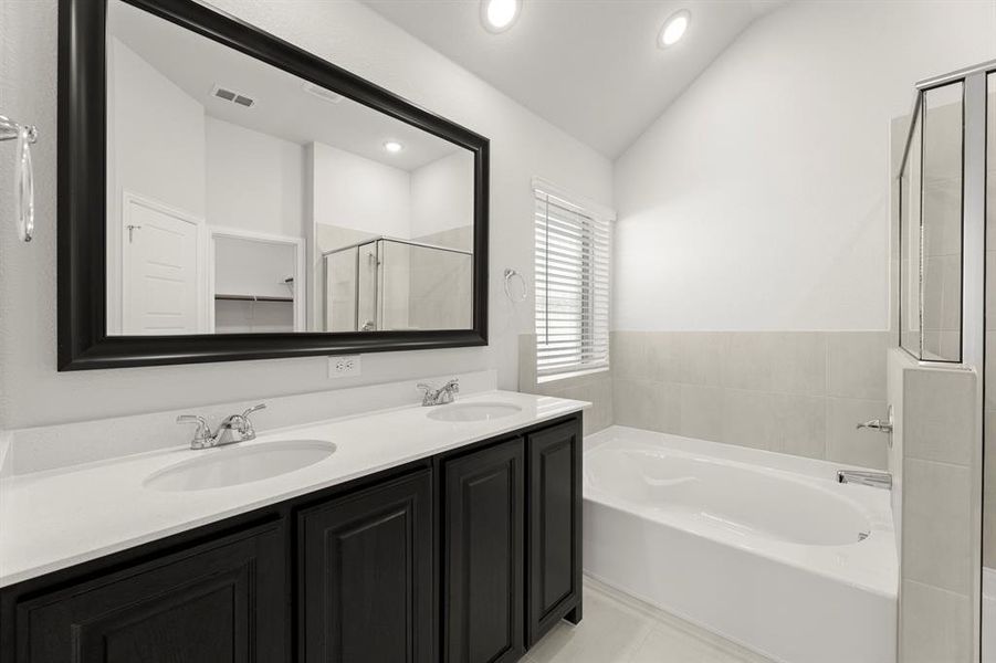 20. 103 Whistling Duck - Bath (2)