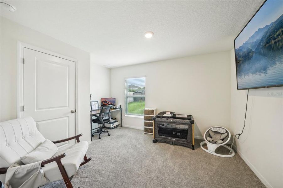 Furnished interior view inside a new home in Ridgewood, Riverview (Image 41).