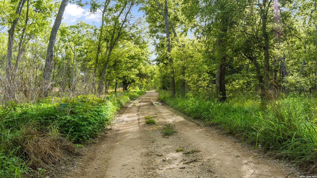 Natural landscape and outdoor views near Chaparral Ranch in Floresville (Image 16).