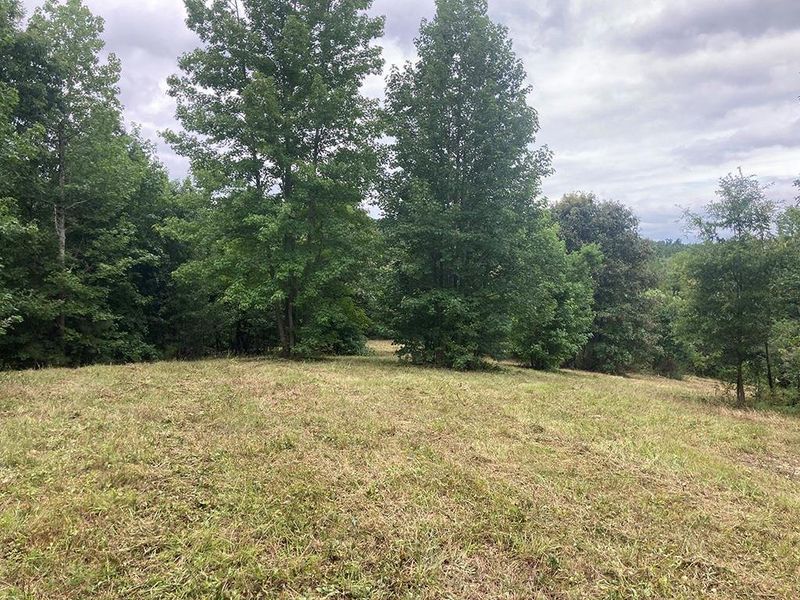 Natural landscape and outdoor views near  in White (Image 79).