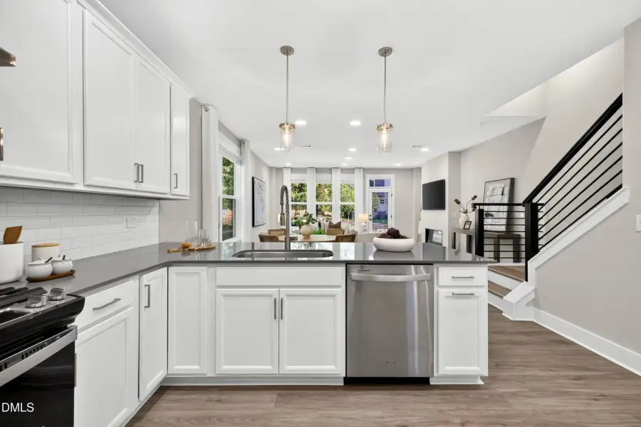 Kitchen Sink & Dishwasher (Model Home)