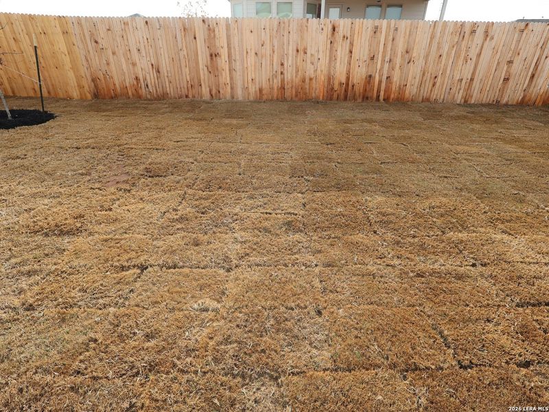 Exterior details and patio area of a home in Agave, San Antonio (Image 4).