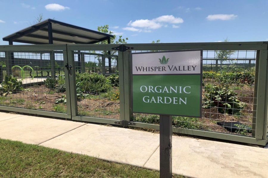 Enjoy fresh, local produce you can help grow at neighborhood organic gardens found throughout Whisper Valley. Enjoy fresh, local produce you can help grow at neighborhood organic gardens found throughout Whisper Valley.