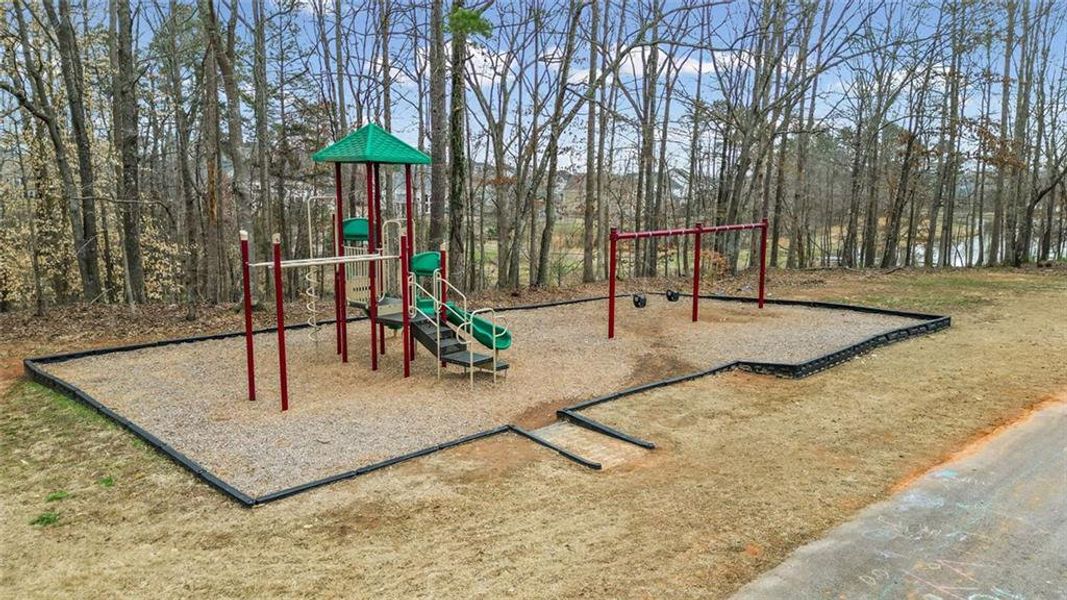 Community amenities in Twin Lakes, Hoschton (Image 48).