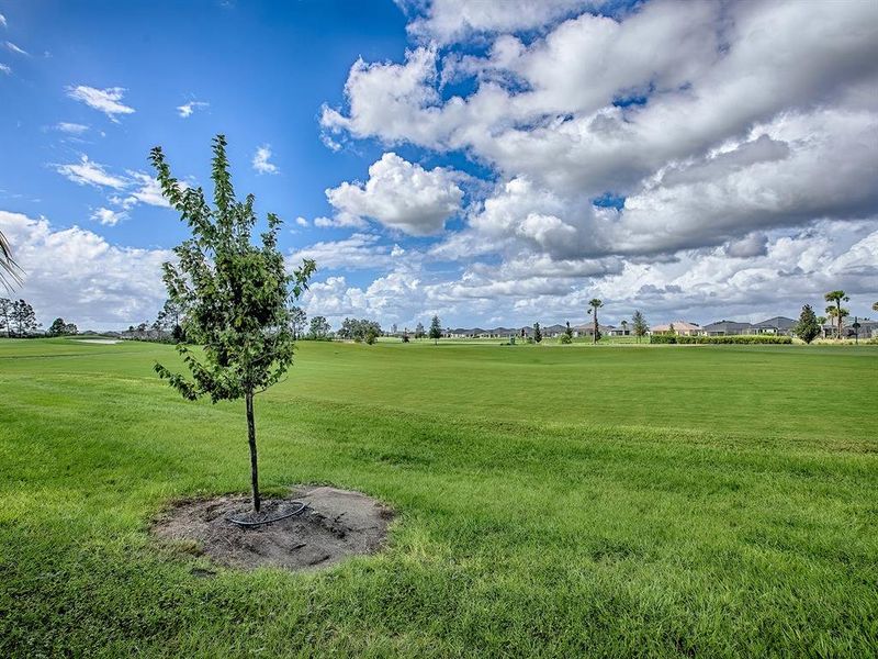 Natural landscape and outdoor views near in The Villages (Image 54). Natural landscape and outdoor views near in The Villages (Image 54).