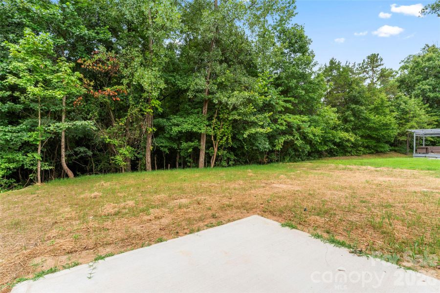 Natural landscape and outdoor views near  in Kannapolis (Image 24).