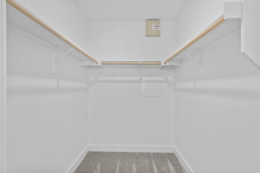 Spacious closet with carpet flooring