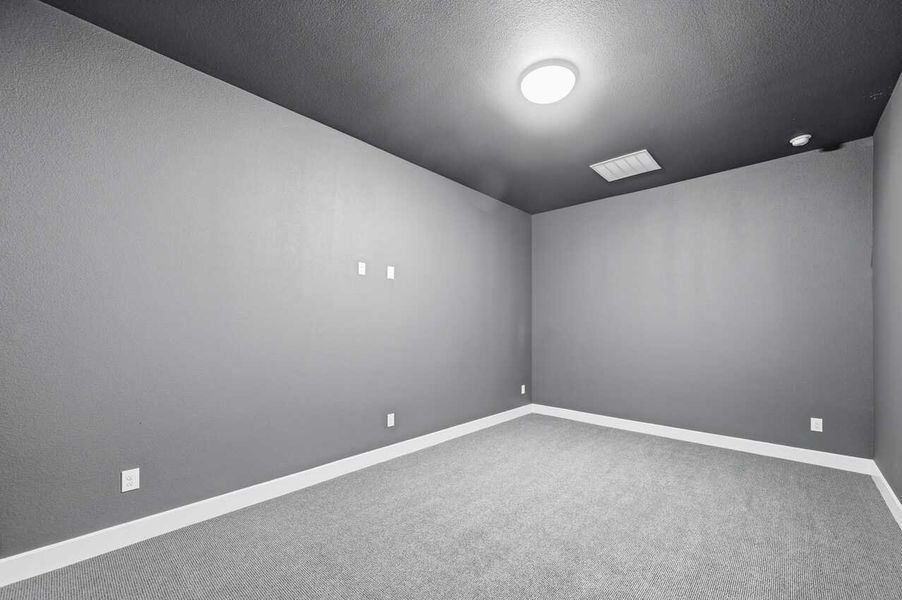 Entertainment Room