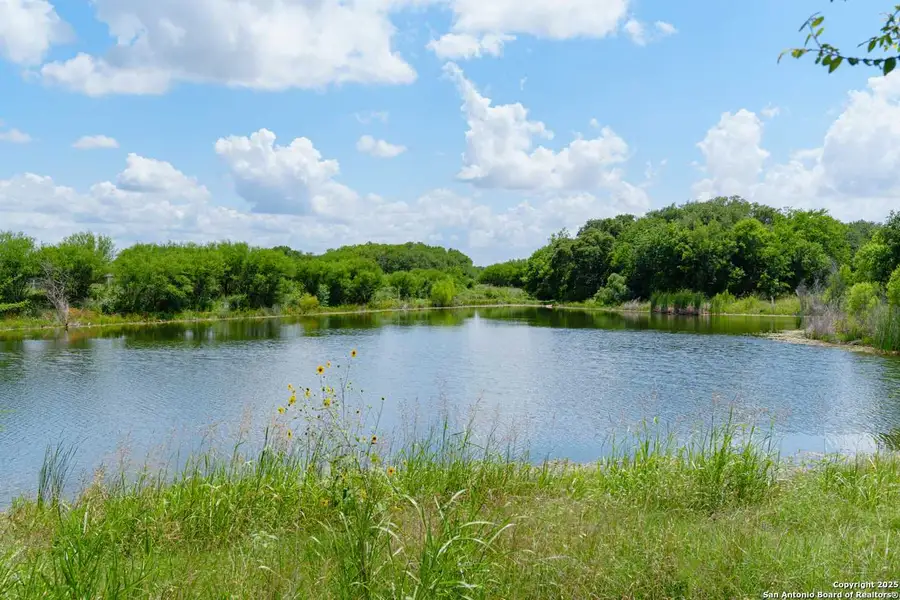 Natural landscape and outdoor views near The Crossvine 55’ in Schertz (Image 7).
