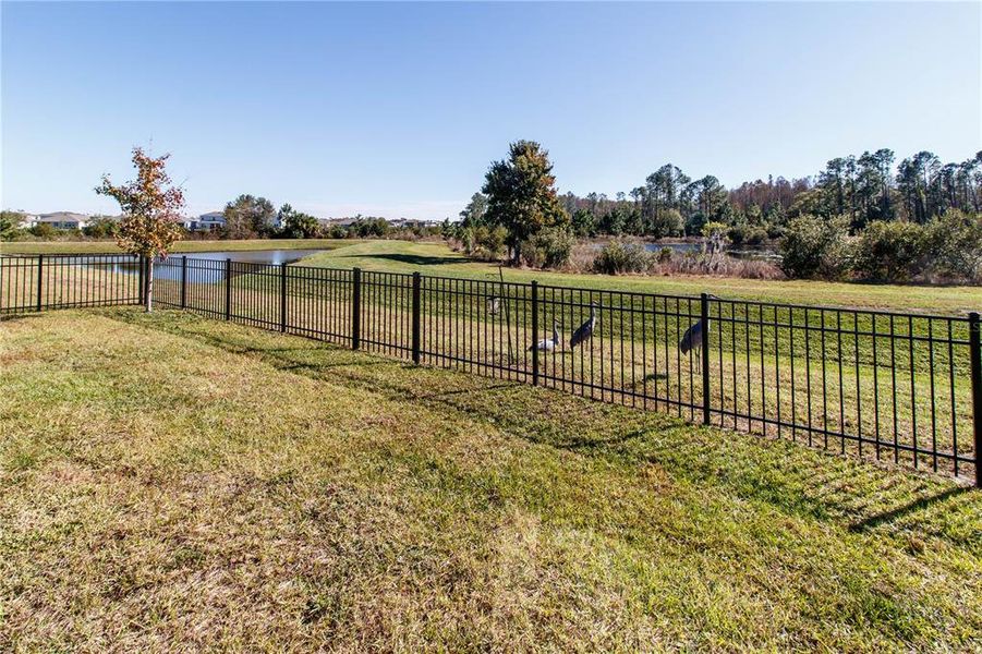 Community amenities in Deerbrook, Land O' Lakes (Image 36). Community amenities in Deerbrook, Land O' Lakes (Image 36).