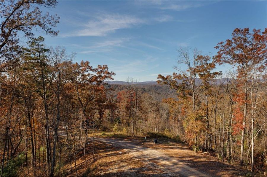 Natural landscape and outdoor views near  in Ellijay (Image 45).