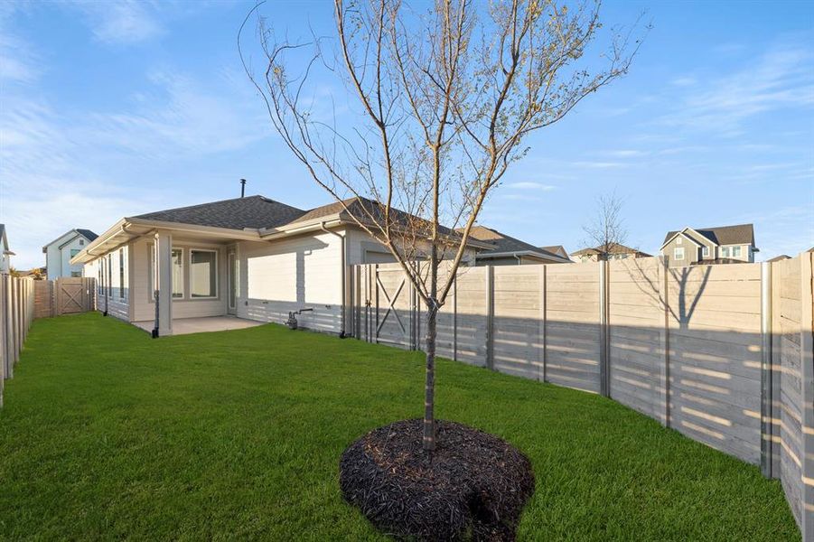 27. 2708 Painted - Back (2)