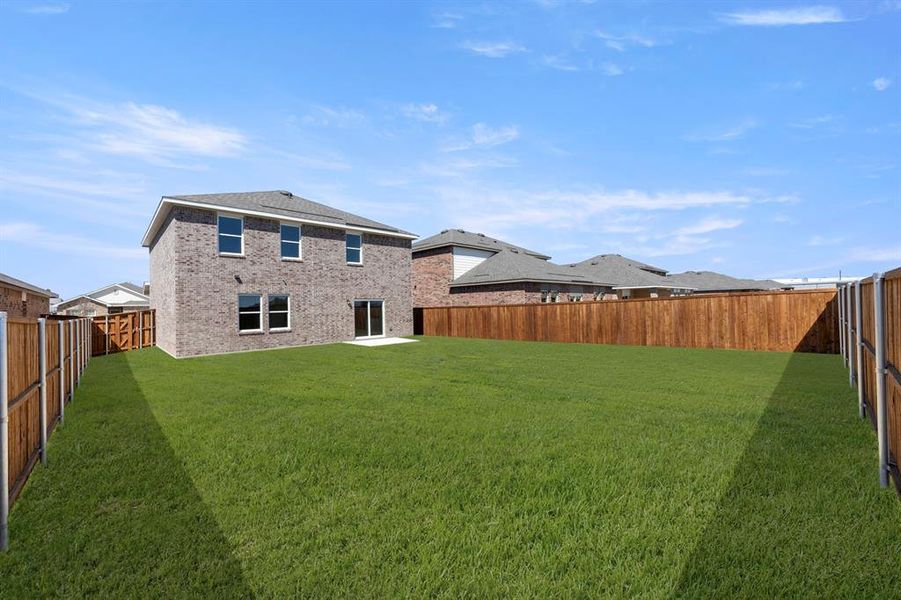 27. 1249 Herring - Back (2) 27. 1249 Herring - Back (2)