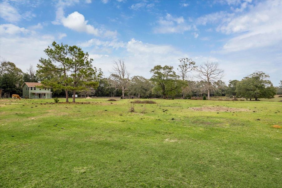 Natural landscape and outdoor views near  in Cleveland (Image 34).