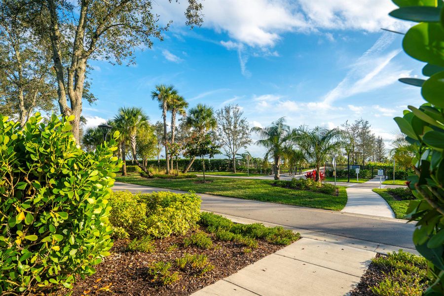 Natural landscape and outdoor views near in Port St. Lucie (Image 50). Natural landscape and outdoor views near in Port St. Lucie (Image 50).