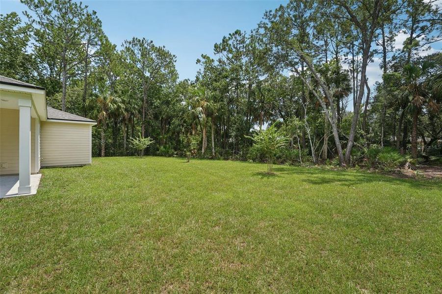 Natural landscape and outdoor views near  in Palm Coast (Image 34).