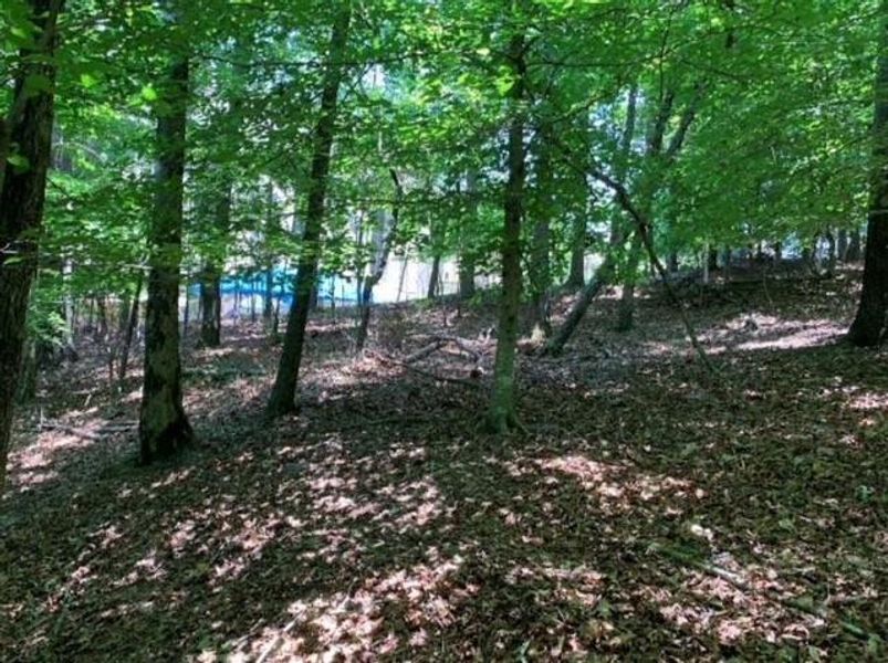 Image 7 of a home in .