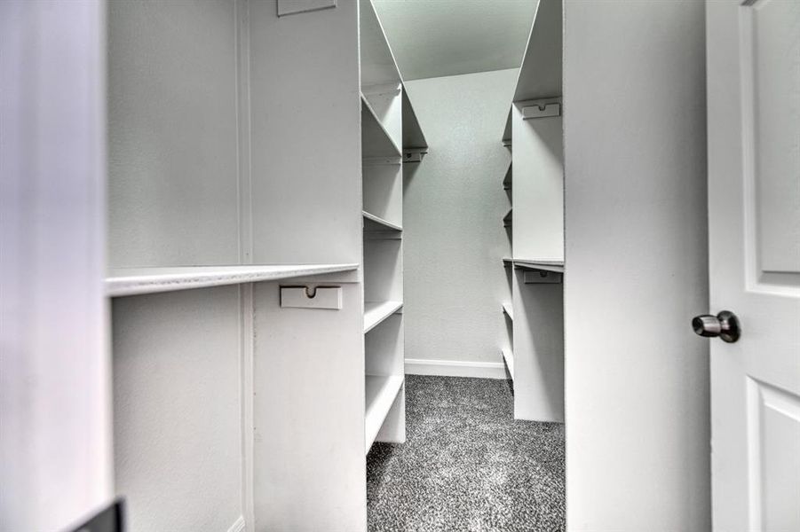 Spacious closet featuring carpet floors