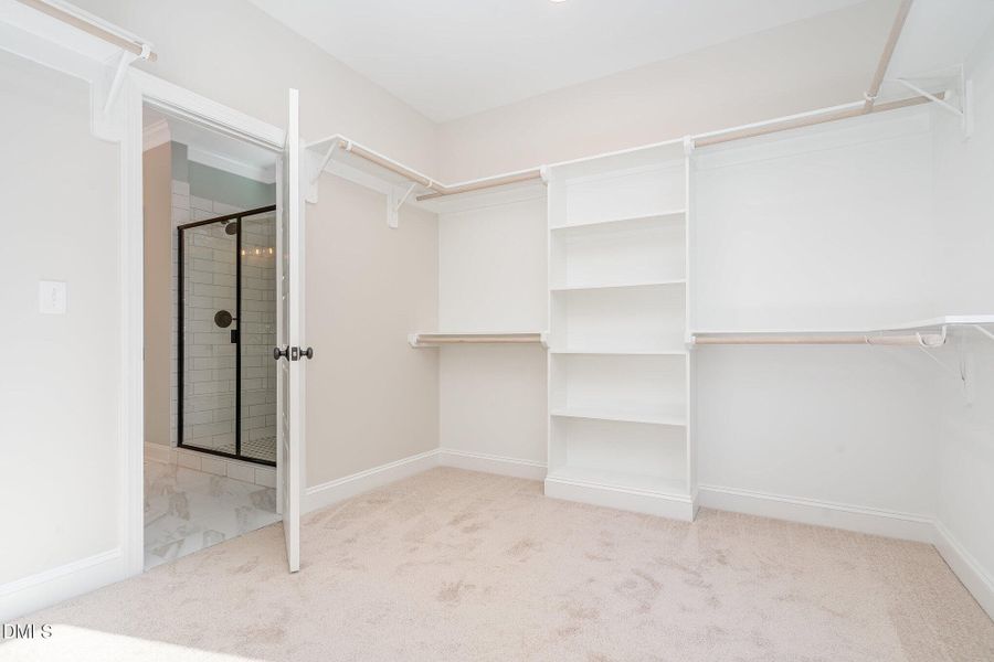 036_wag04109-edit_479 036_wag04109-edit_479