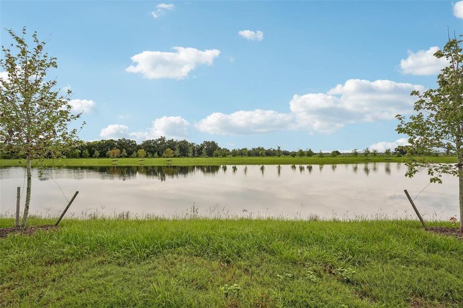 Natural landscape and outdoor views near Hawkstone in Sarasota (Image 37).