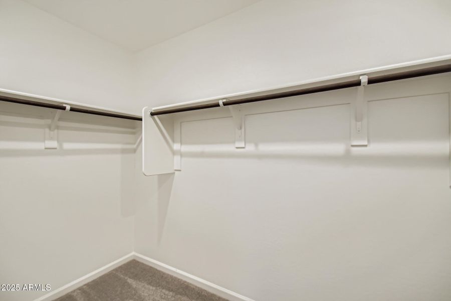 Owners Walk in Closet