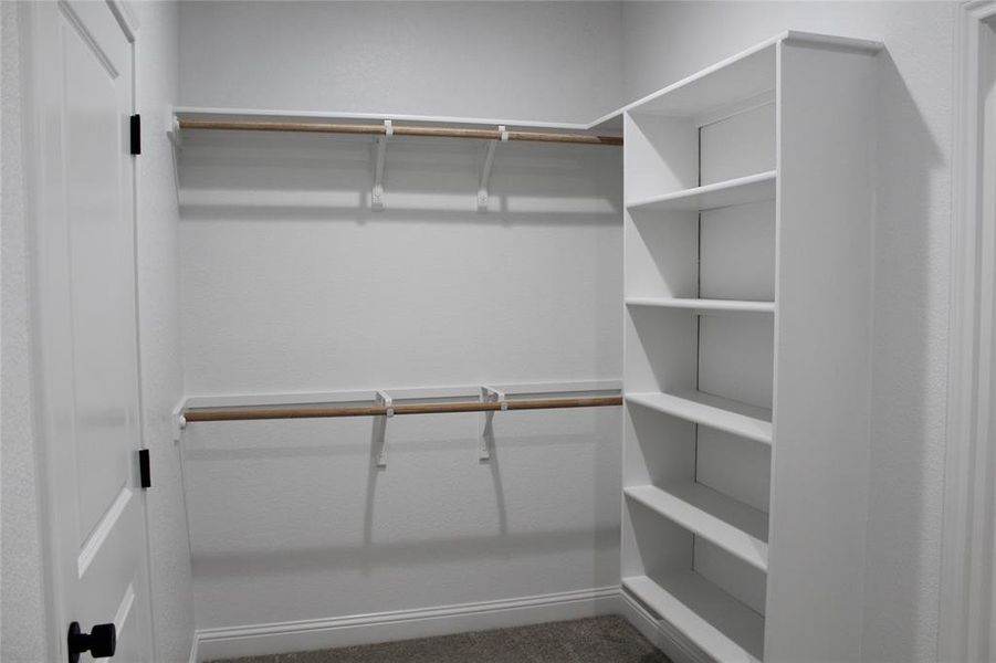 Walk in closet with carpet flooring Walk in closet with carpet flooring