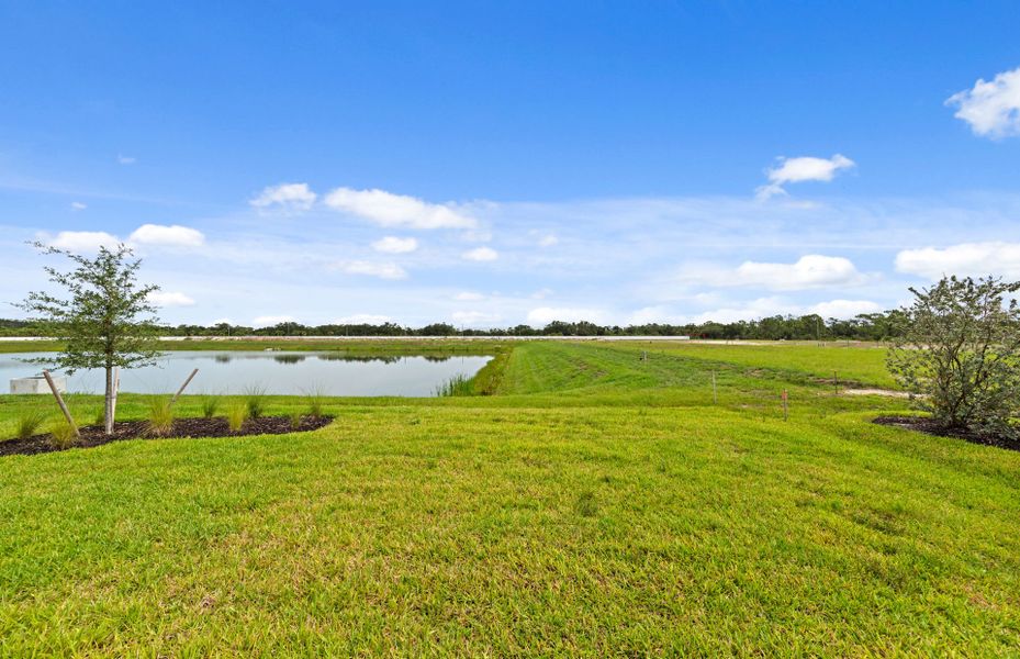Natural landscape and outdoor views near Shores at Stillwater in Englewood (Image 23).