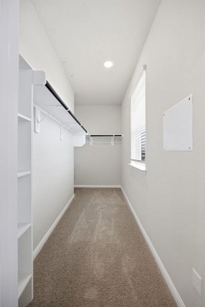 Walk in closet featuring light colored carpet