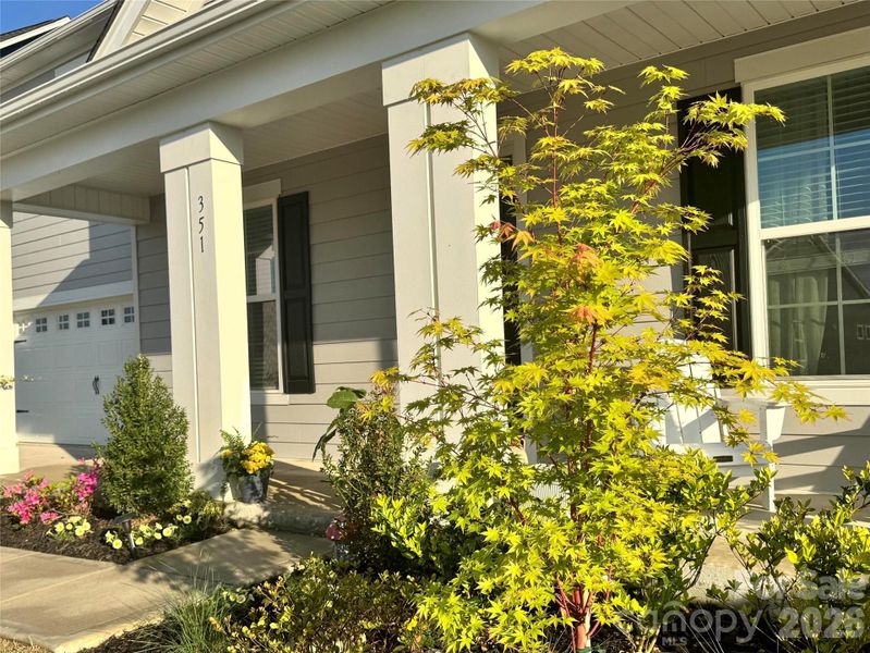 Exterior details and patio area of a home in Westport, York (Image 27). Exterior details and patio area of a home in Westport, York (Image 27).