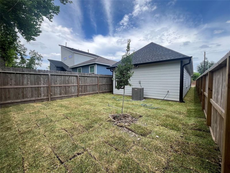 7921 Virgil St freshly placed sod. 7921 Virgil St freshly placed sod.