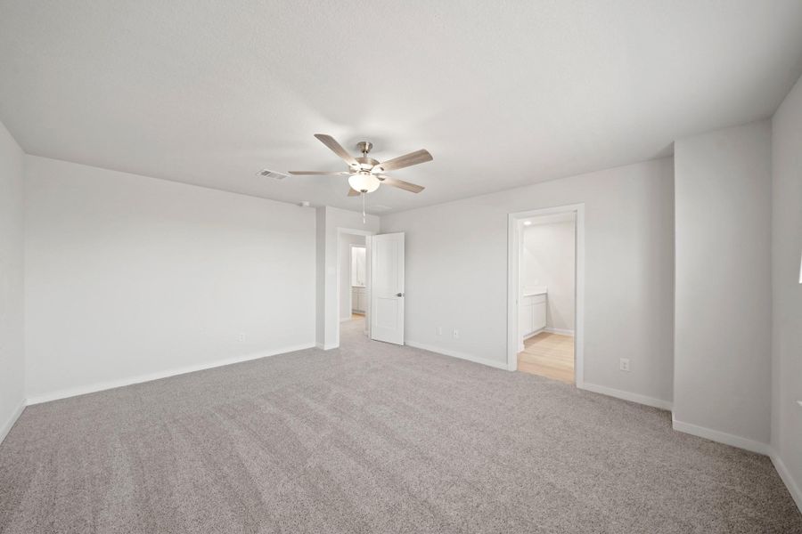 representative photo