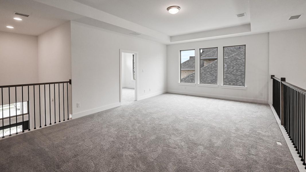 Spare room featuring visible vents, baseboards, a raised ceiling, and carpet floors