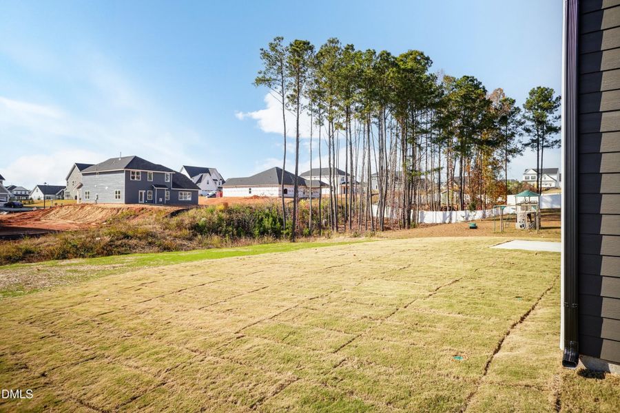 Back Yard 02 Back Yard 02