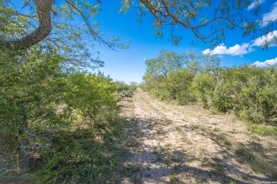 Natural landscape and outdoor views near  in Alice (Image 26).