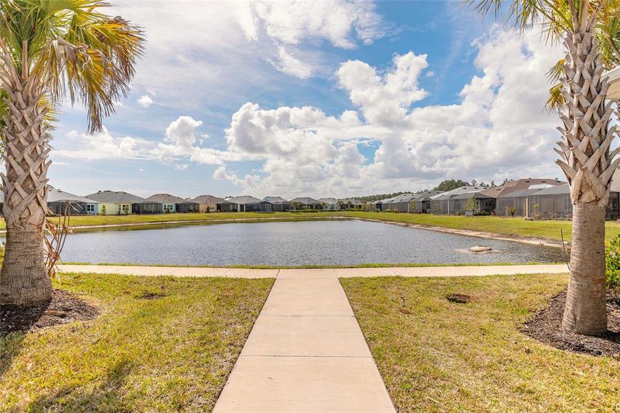 Natural landscape and outdoor views near  in Daytona Beach (Image 24).