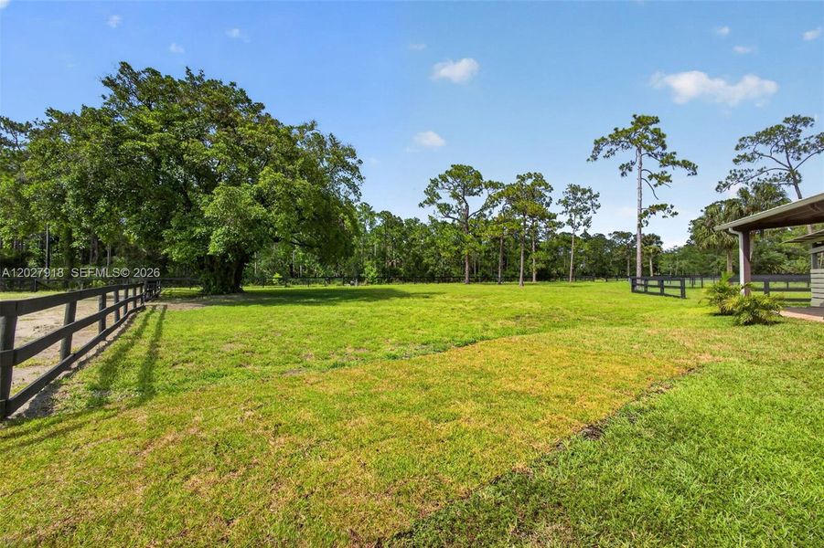 Natural landscape and outdoor views near  in Palm Beach Gardens (Image 95).