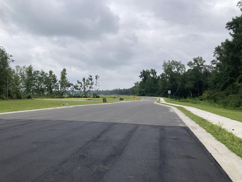 Natural landscape and outdoor views near Edgefield in Loris (Image 31).