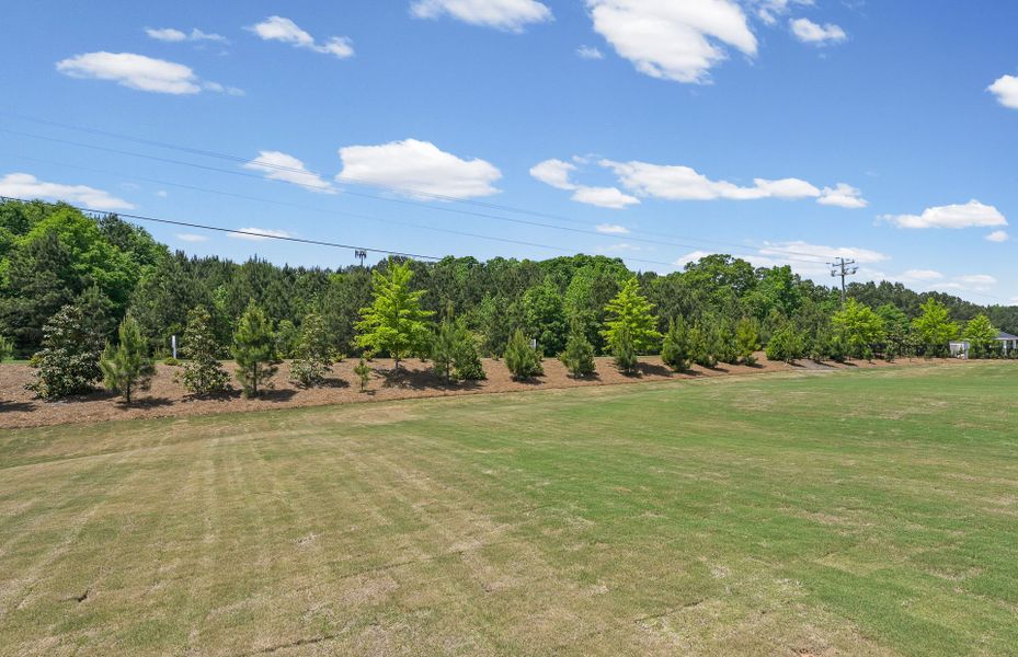Natural landscape and outdoor views near Overland in Locust Grove (Image 19). Natural landscape and outdoor views near Overland in Locust Grove (Image 19).