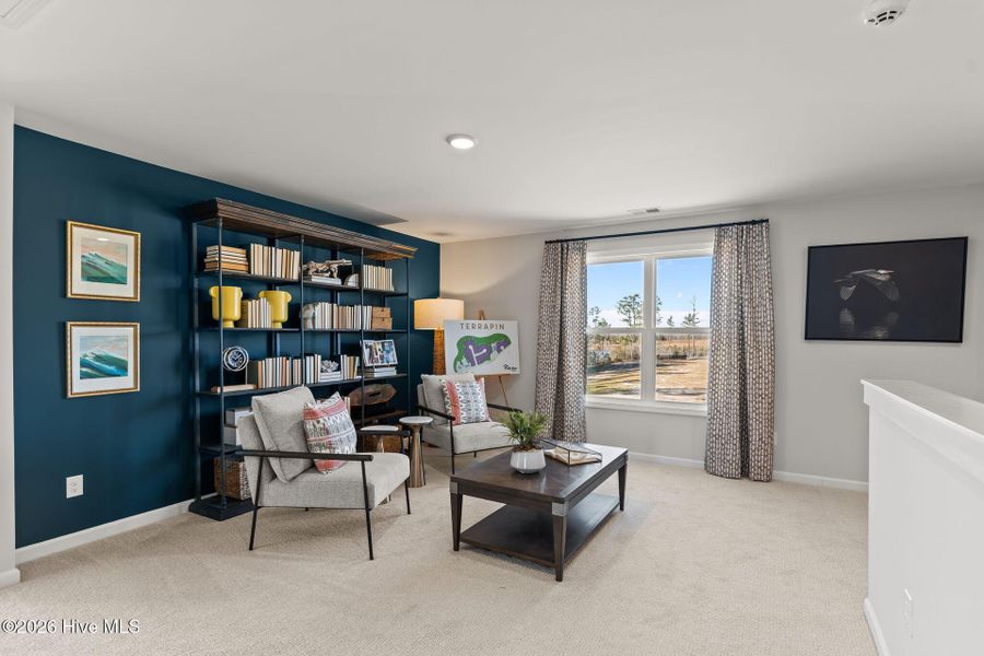 Furnished interior view inside a new home in Terrapin, Leland (Image 49).