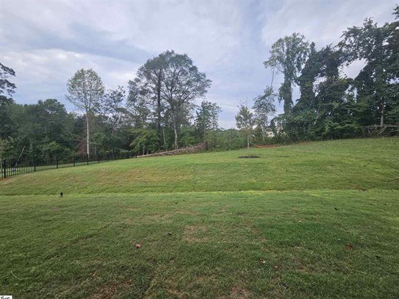 Natural landscape and outdoor views near South Park in Piedmont (Image 14).