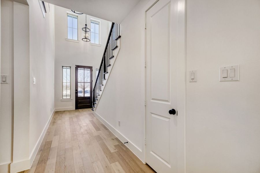 609 Damsel June - Entry 609 Damsel June - Entry