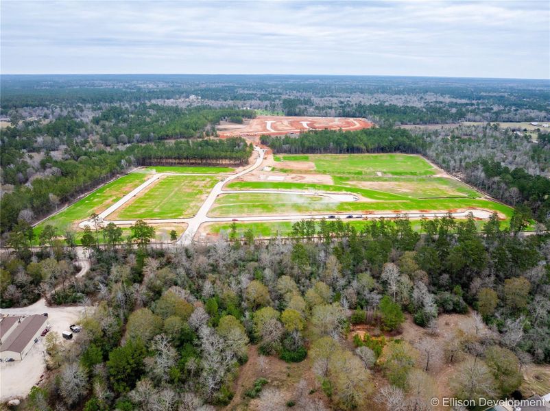 Site preparation for new homesites in McCrorey Trails, Conroe (Image 15).