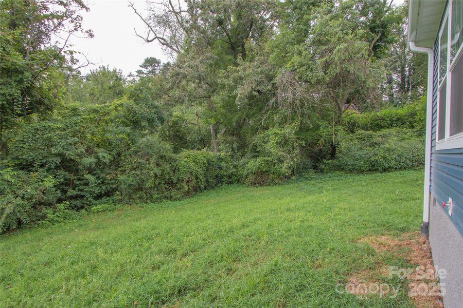 Large Southern facing yard perfect for garden