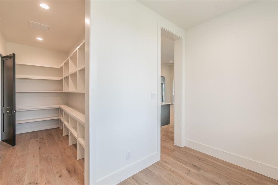 Walk in closet featuring light wood finished floors