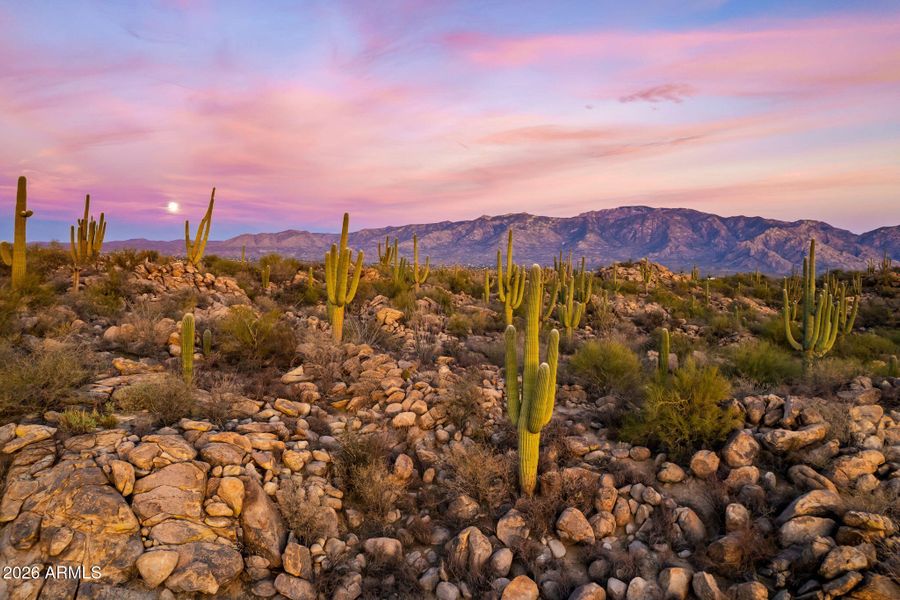 131-web-or-mls-1313 Tortolita Mountain C 131-web-or-mls-1313 Tortolita Mountain C