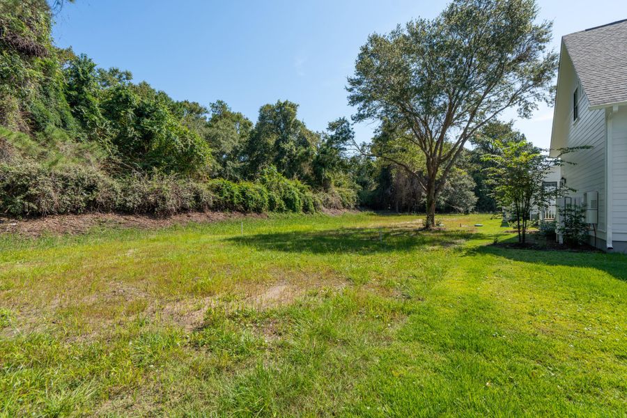 Natural landscape and outdoor views near  in Johns Island (Image 59).