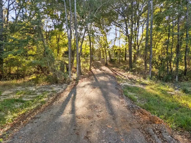 Natural landscape and outdoor views near  in Whitehouse (Image 23).